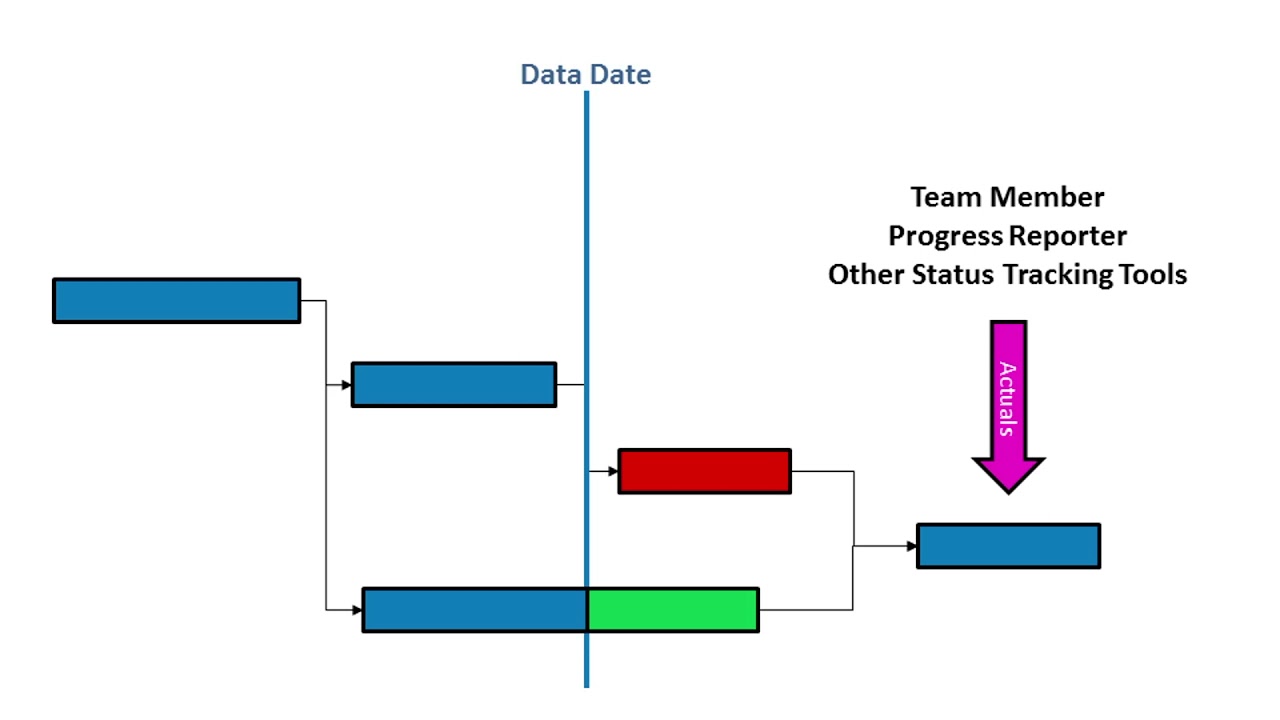Invalid Dates in Primavera P6 Explained