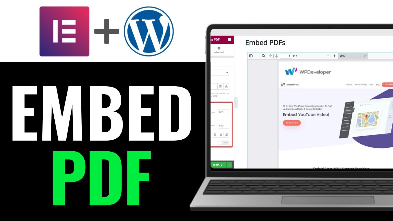How To Embed PDF In WordPress Elementor 2025 (Detailed Guide)