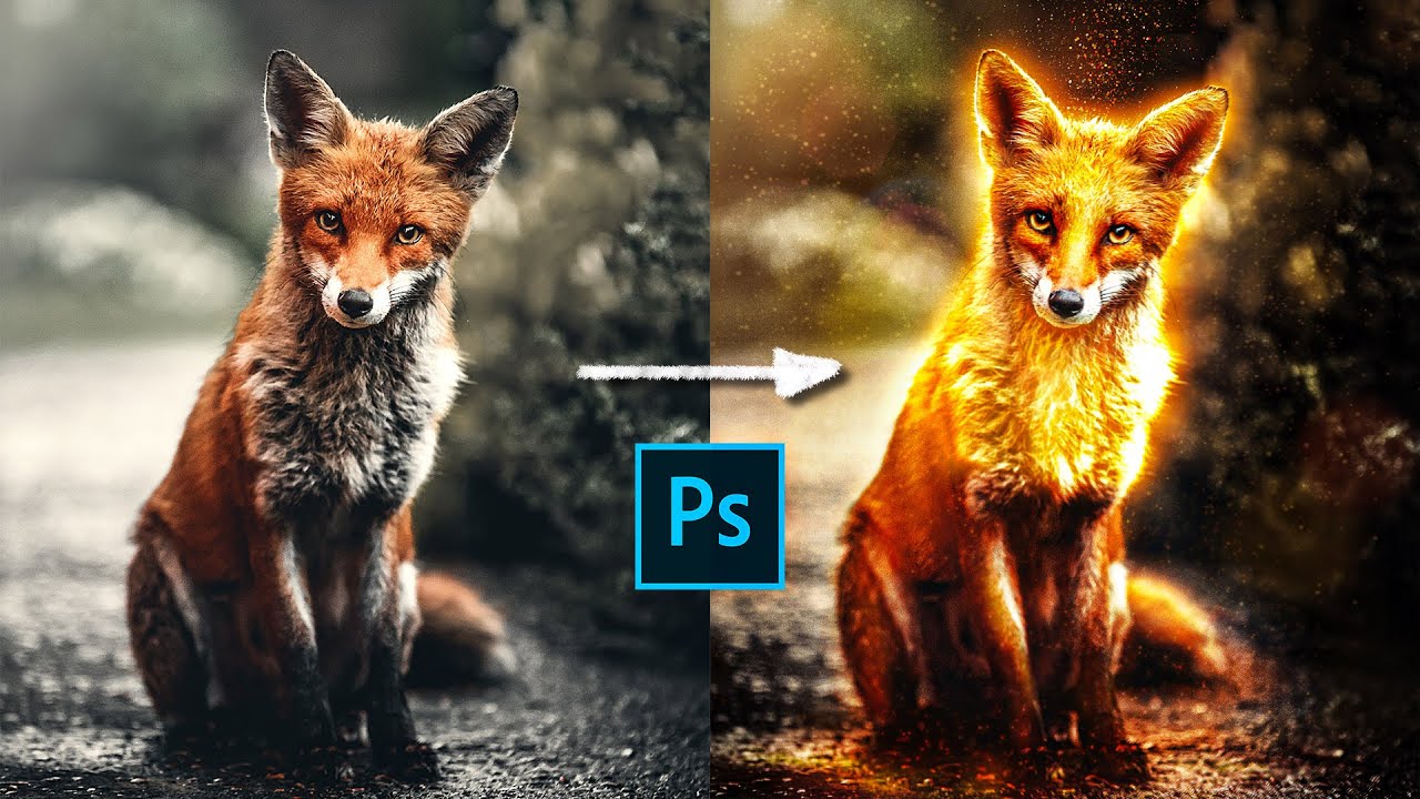 Golden Glowy Fox Effect in Photoshop | Made using XP-PEN Artist Display 15.6 Pro