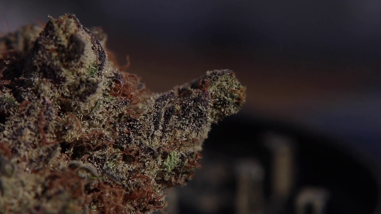 Mandarin Cookies - Grow West - PhotographMyGreen