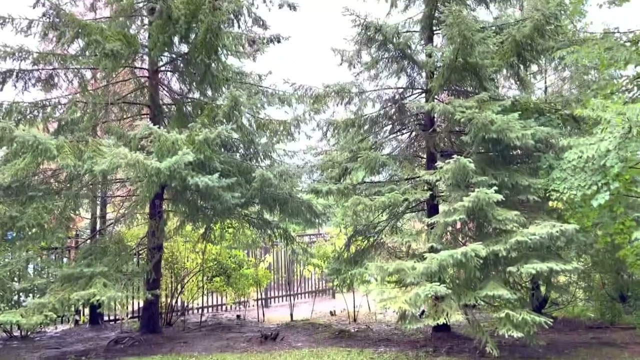 Blue Mountain Resort Village Suites | Village Studio | Ontario, Canada @calebandgabsTV