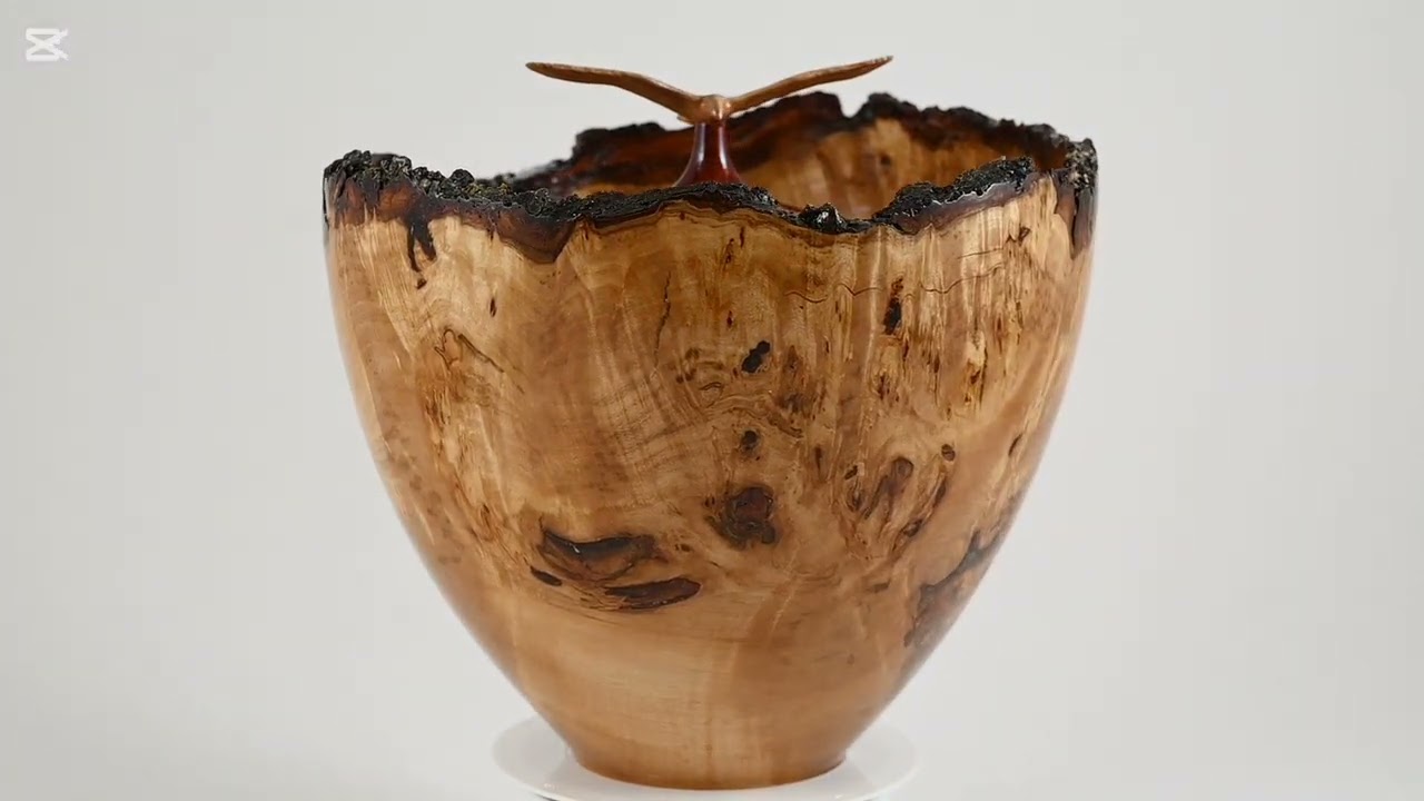 Large handmade Alder Burl Wood Urn, Amber Inlay , Bird Lid