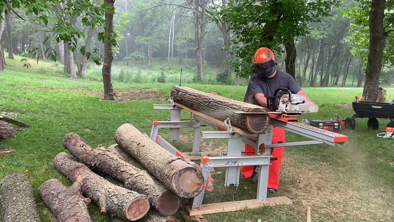 Black Walnut on the Logosol F2 Plus