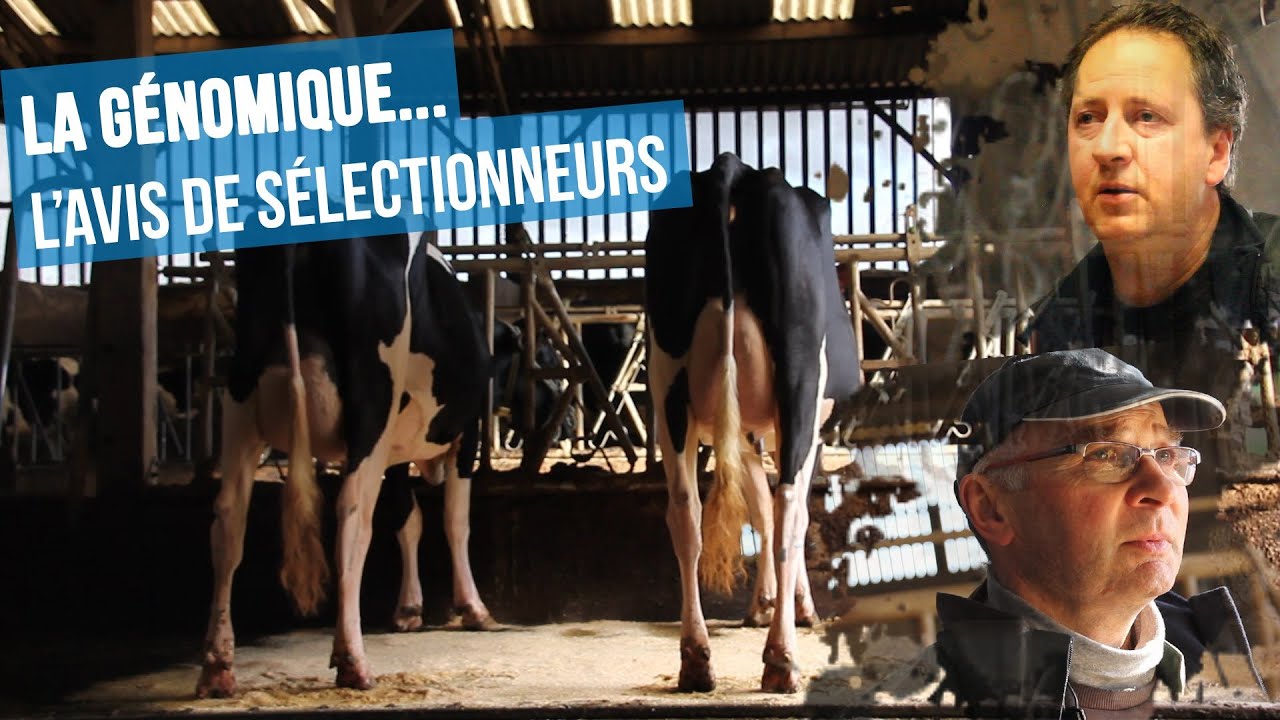 La génomique...l'avis de sélectionneurs