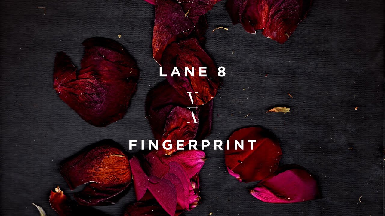 Lane 8 - Fingerprint