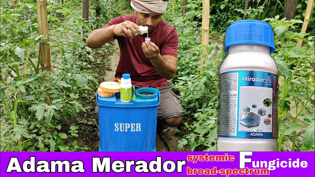 Adama Merador | Systemic Fungicide | Azoxystrobin 23% Sc | Praveen Thakur