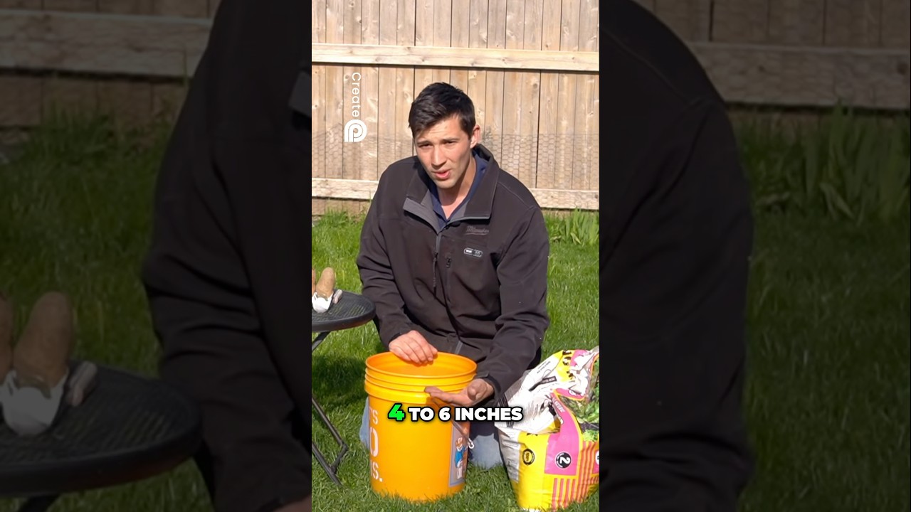 Mounding Soil Layers when Growing Potatoes! 5-Gallon Bucket GROW! #growingpotatoes