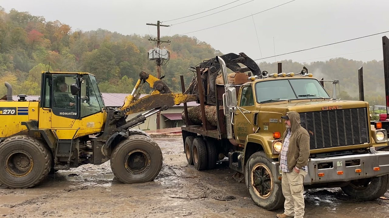 Logging good timber