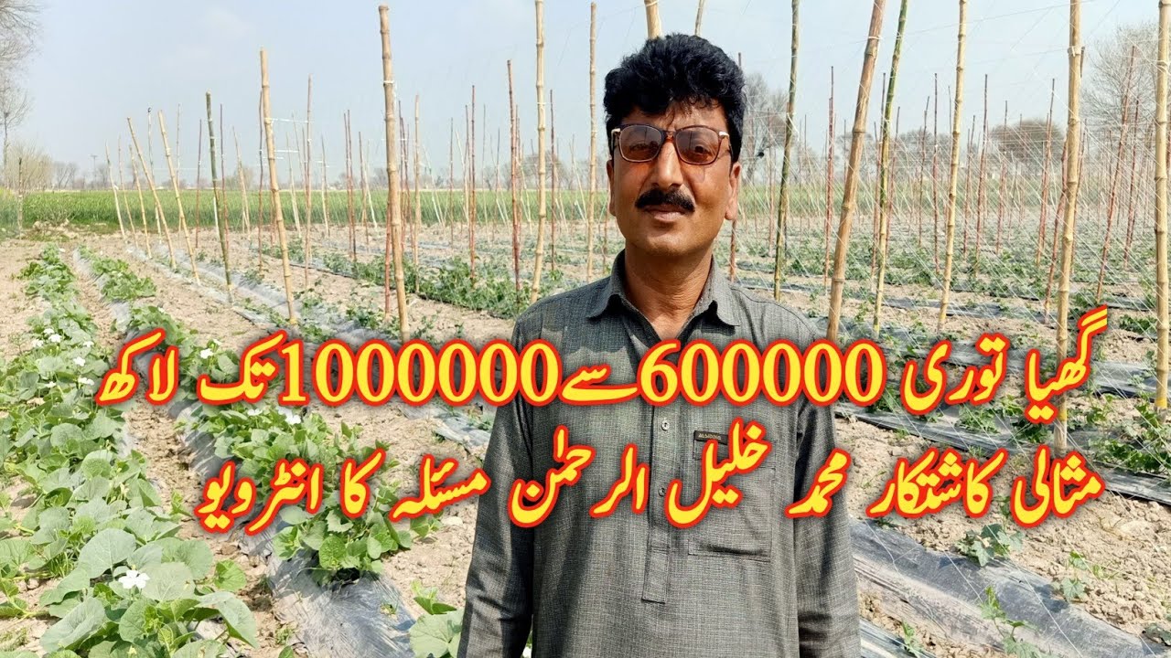 Tori kis waqt lagani hai aur kaise lagani hai iski information is video mein dekhen
