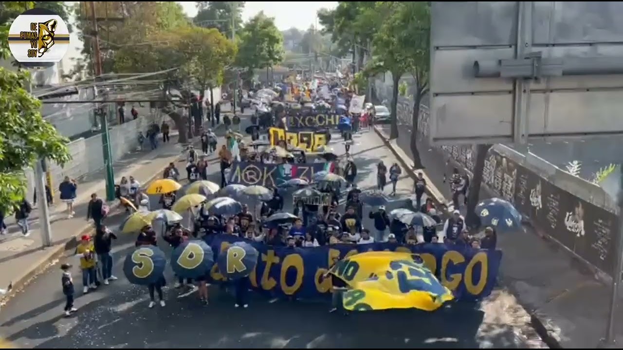 IMPRESIONANTE CARAVANA DE LA REBEL - 28 AÑOS DE ORGULLO AZUL Y ORO 💙💛 #Pumas #Rebel #orgulloazulyoro