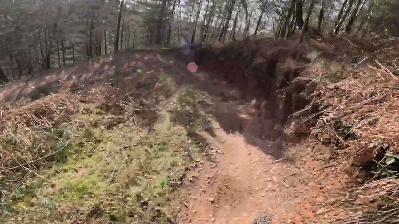 Cannock Chase