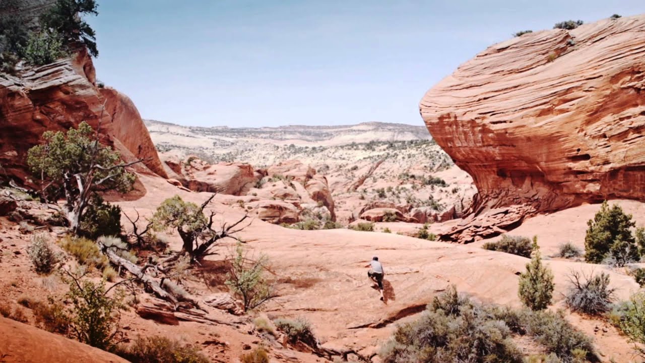 Boulder Outdoor Survival School - Wilderness Letter