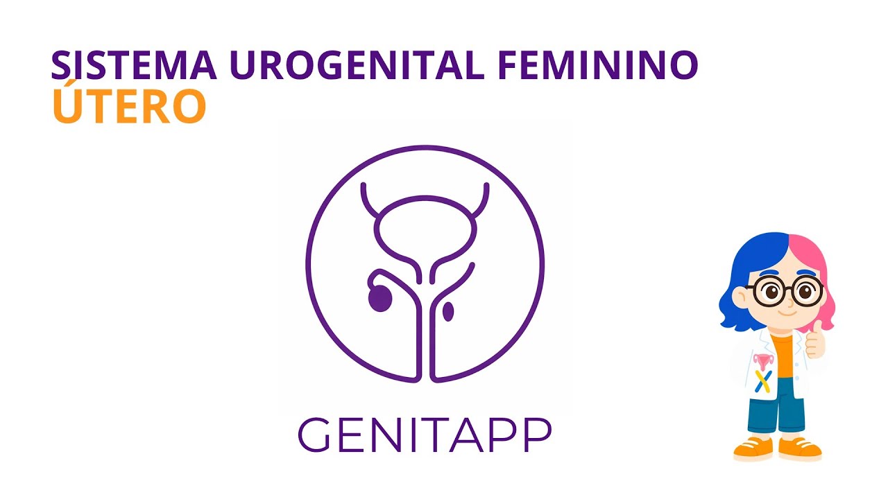 ÚTERO | SISTEMA UROGENITAL FEMININO | GENITAPP