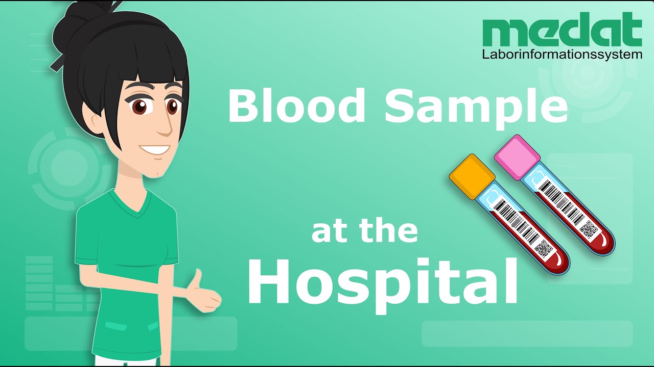 Medat | The Path of a Blood Sample Through the Laboratory System &ndash; At the Hospital