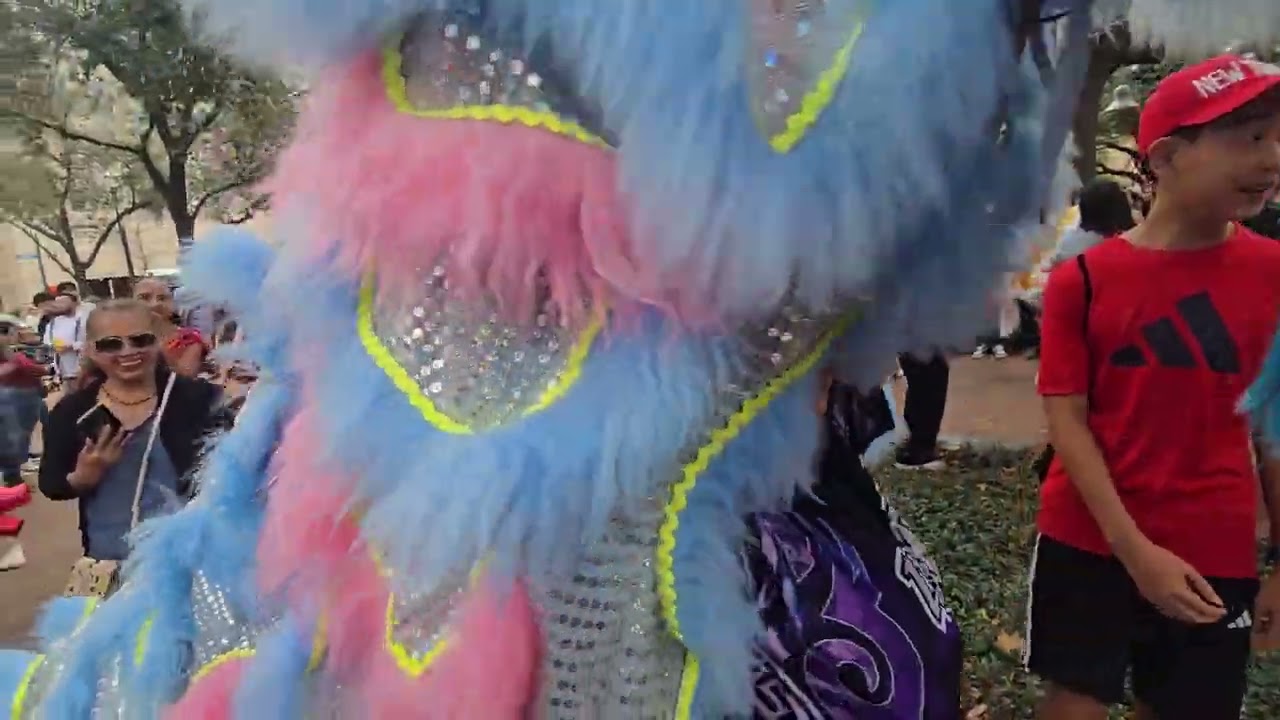 Año Nuevo Chino 2026 Houston Tx 