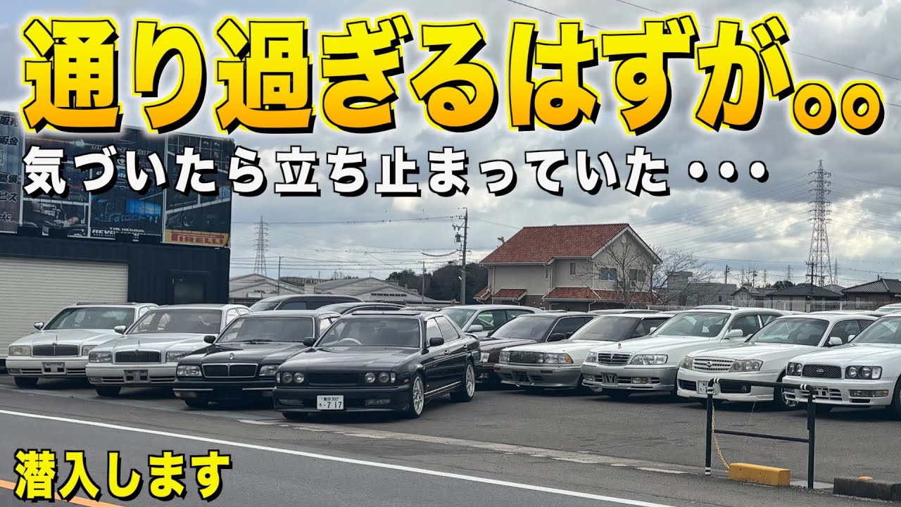 通り過ぎるはずが立ち止まってしまった車屋！まだまだ出てきた！ダブルイーモーターズ【くるま小僧】