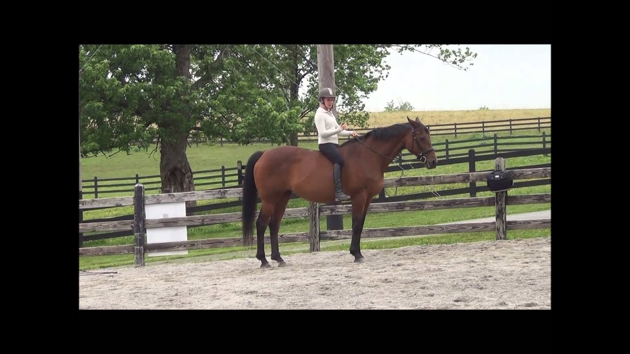 Tips for Riding Bareback