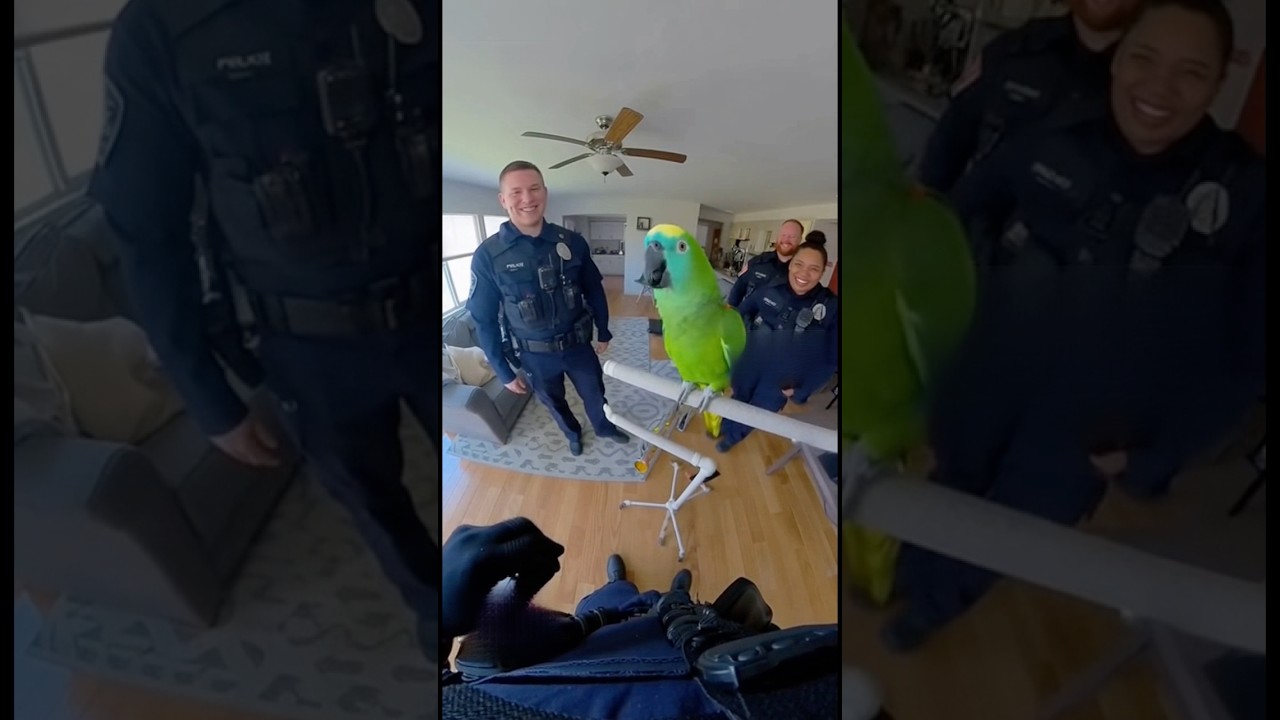 Talking parrot vs police officers #animalcomedy #birds #funny #pets