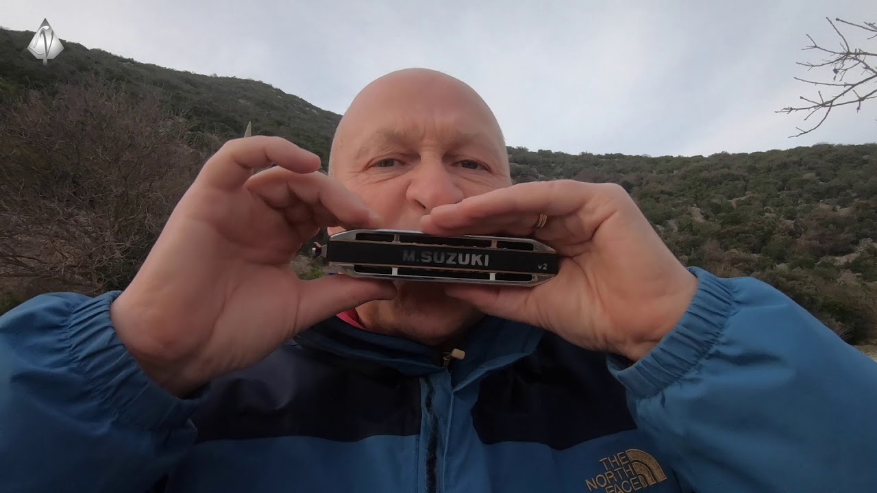 Paul Simon - The Sound of Silence (Cover Harmonica)