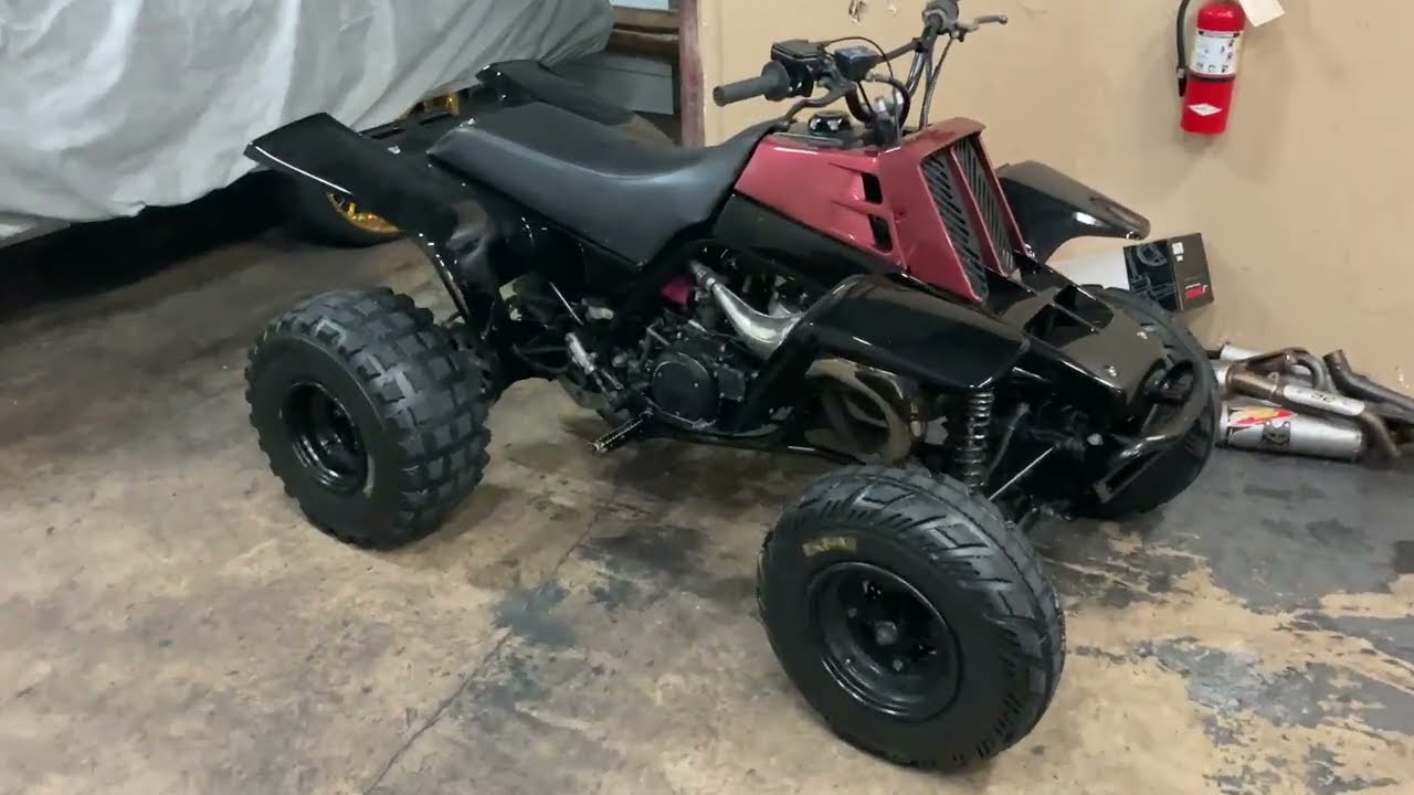 2001 Yamaha Banshee Inspection Teardown Reed Replacement Carb Clean Tune Up