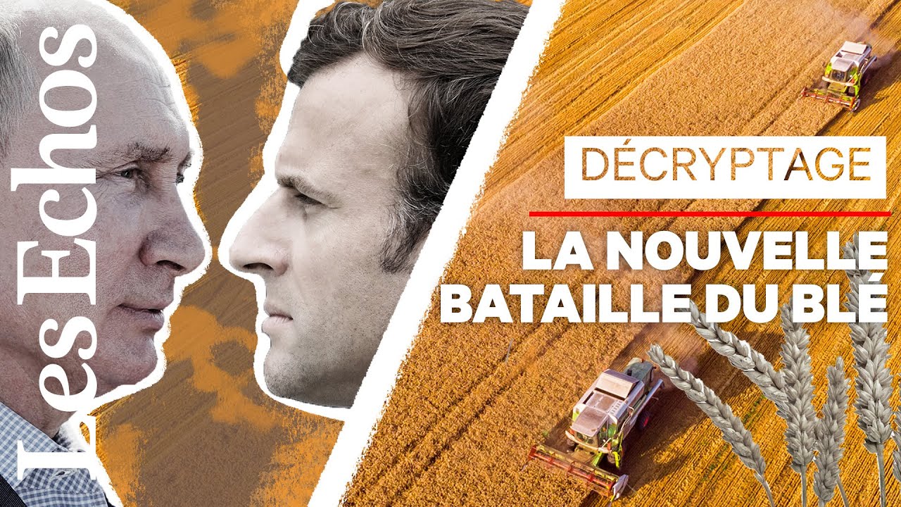 Comment la Russie torpille le blé français