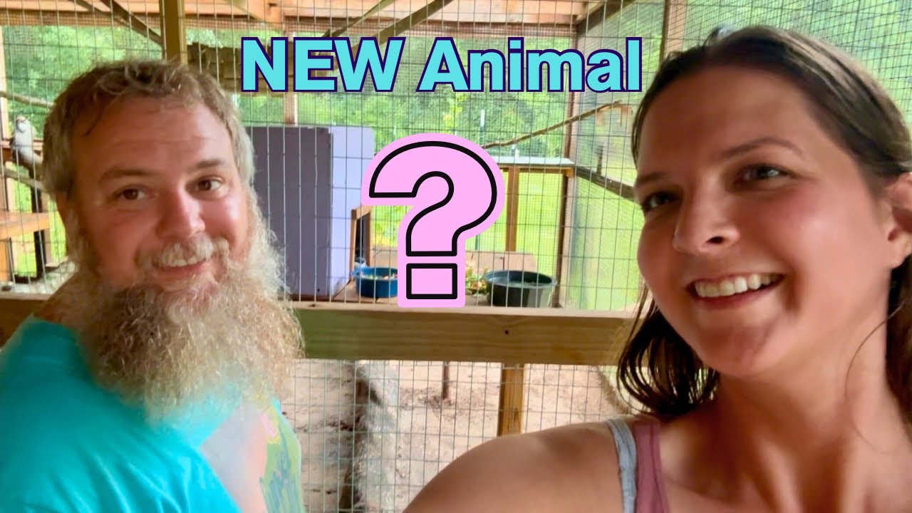 NEW Rescues Arrive At The Animal Sanctuary!! My Heart Needed This 💖