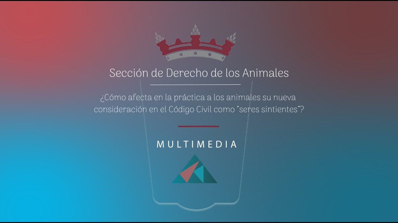 Secci&oacute;n de Derecho Animales: &iquest;C&oacute;mo afecta en la pr&aacute;ctica su nueva consideraci&oacute;n en el C&oacute;digo Civil?