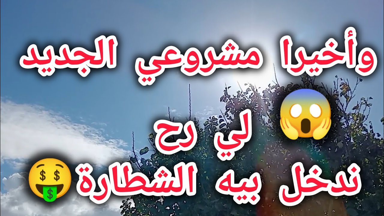 حكايات صفية/ وأخيرا مشروعي الجديد اللي رح ندخل بيه الشكارة🤑🤑🤑