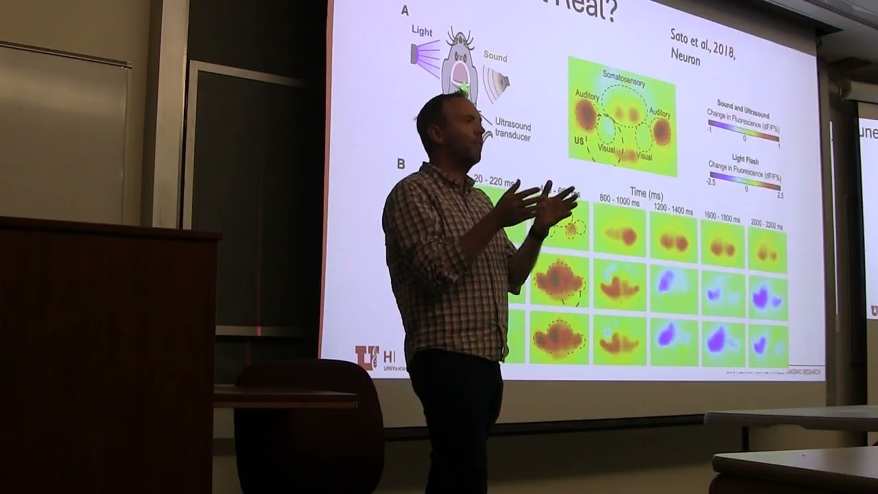 Graduate Seminar: Taylor Webb, Oct. 22, 2025