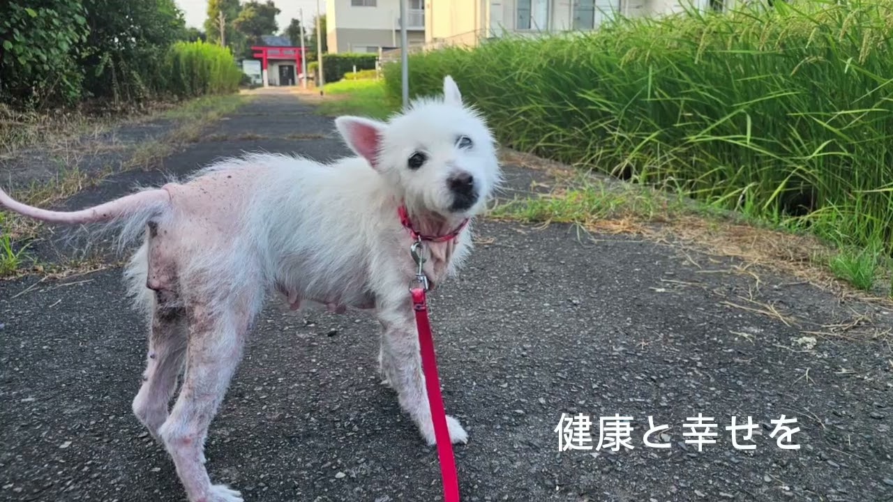さゆりのスライドショー