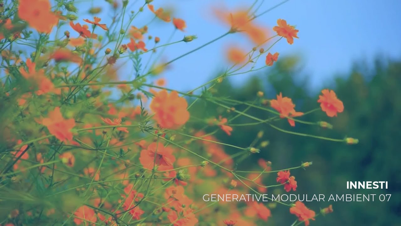 Generative Modular Ambient - Innesti - Bloom Magneto Nebulae