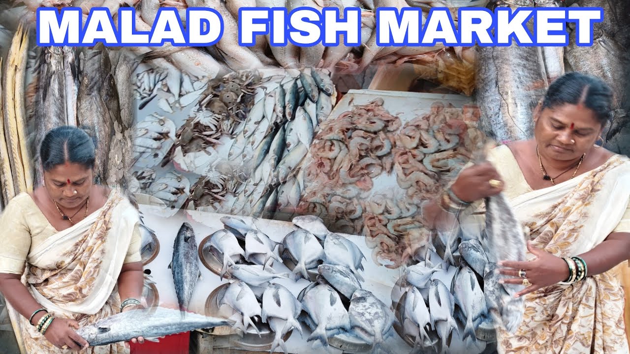 Malad fish market thandi mein market Khali Mumbai wholesale Malad fish market latest video 