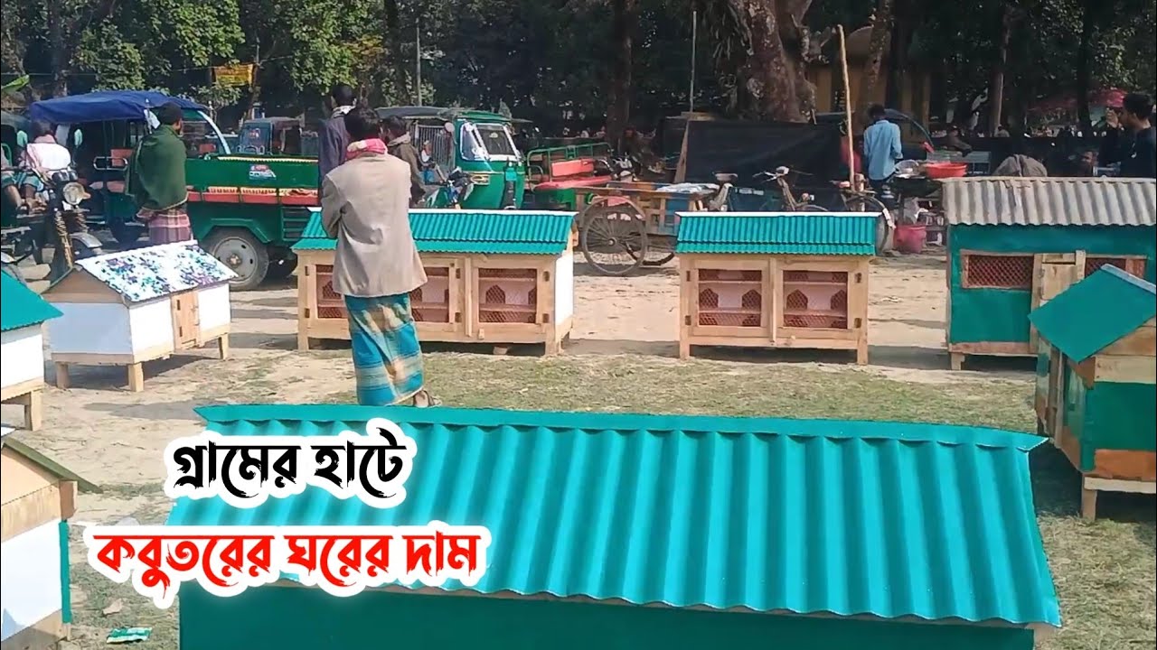 গ্রামের হাটে বর্তমানে কবুতরের খোপের দাম | লাউহাটি হাট 10/01/2026