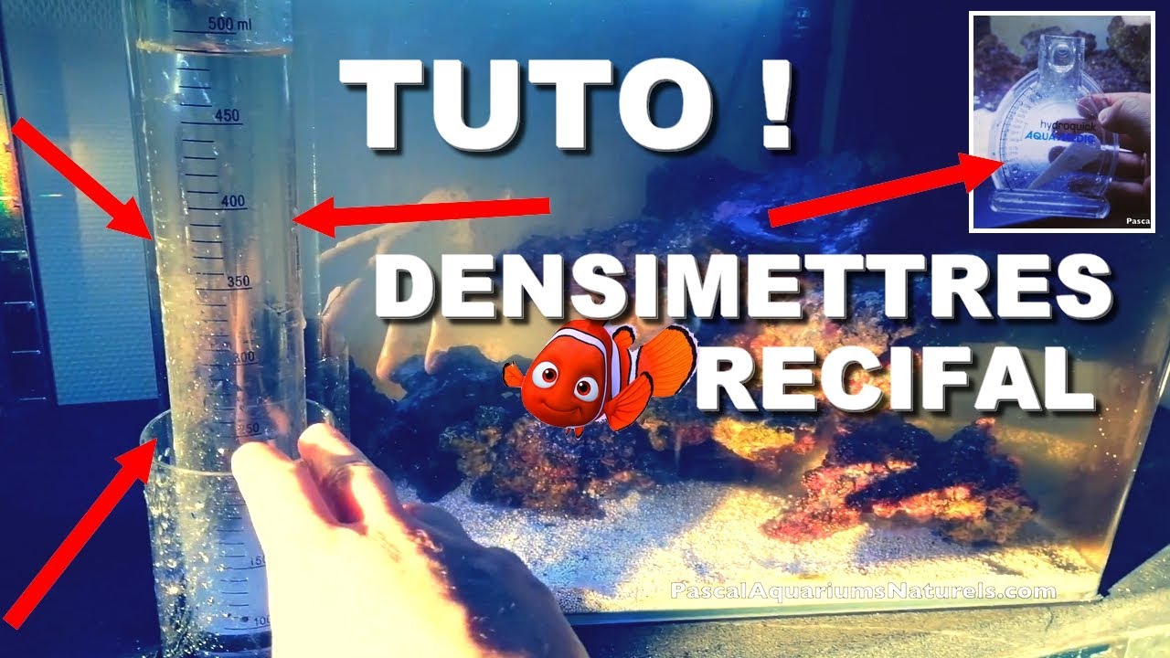 TUTO débutant densimètres récifal : mesurer le sel (projet récifal) - Pascal Aquariums Naturels
