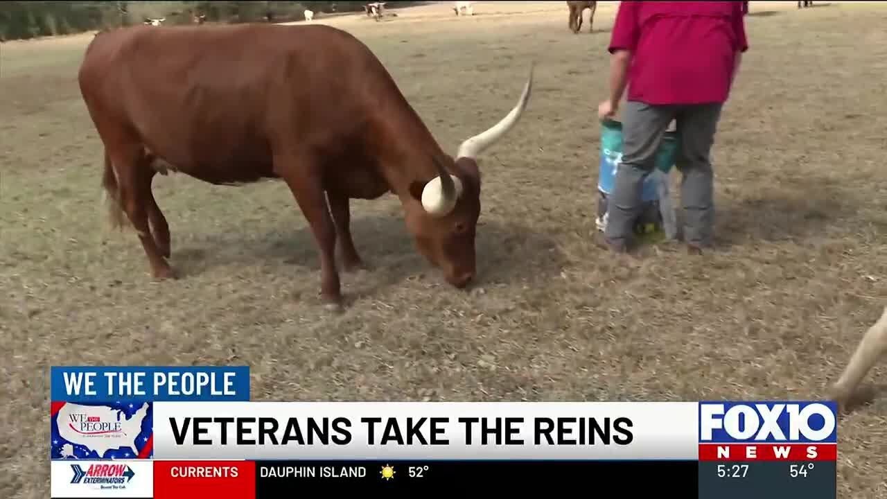 Veterans becoming cowboys: Grand Bay couple trains vets to start cattle operations