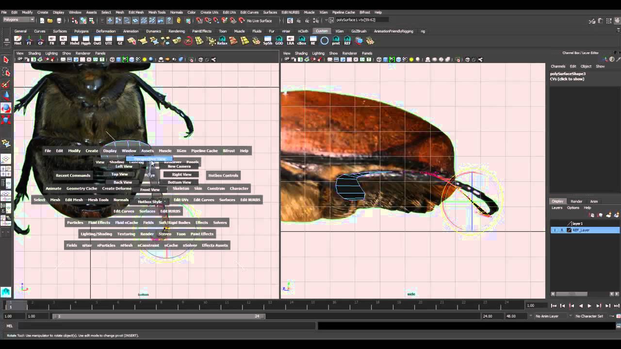 Beetle Maya 2015 04 Legs