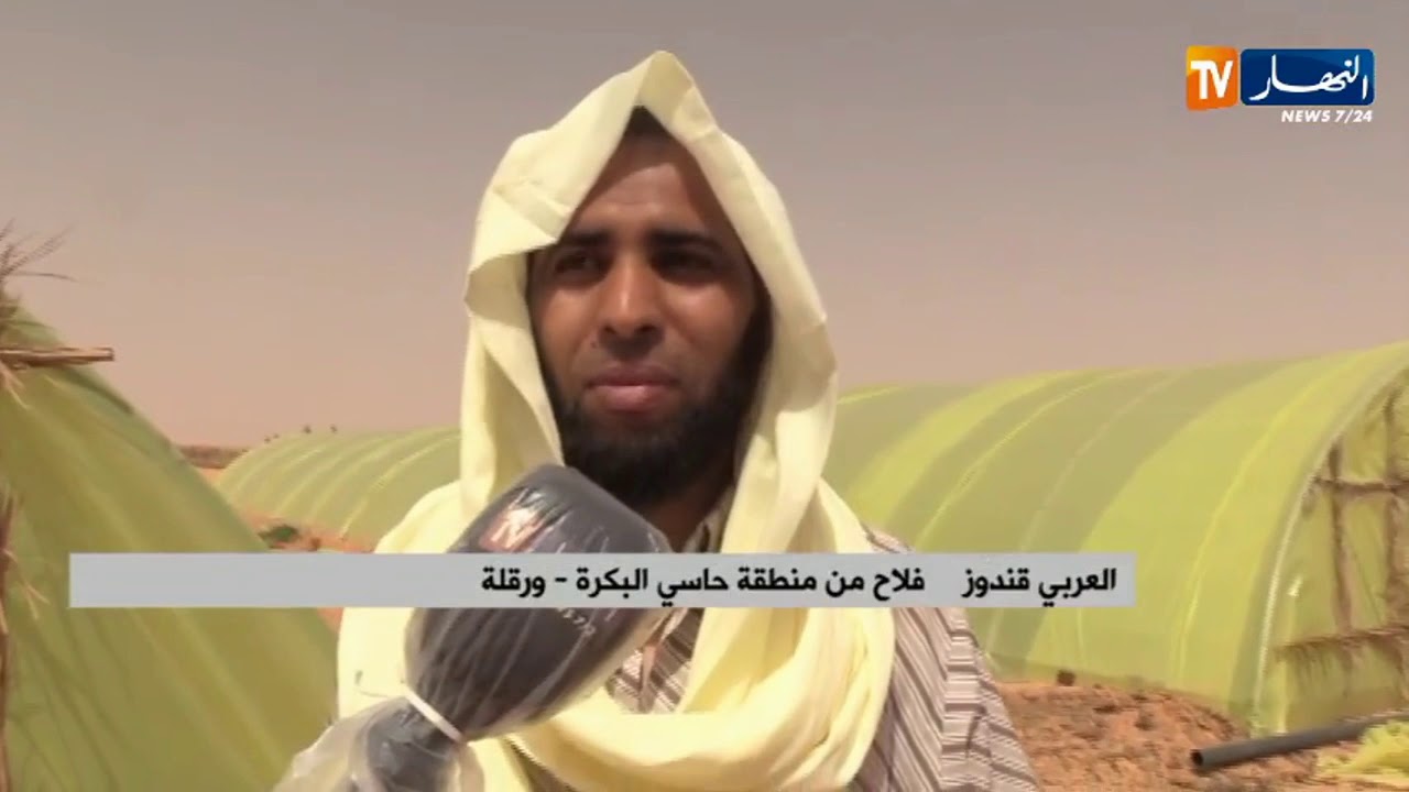 ورقلة : فلاحو منطقة حاسي البكرة يطالبون بتسوية وثائقهم