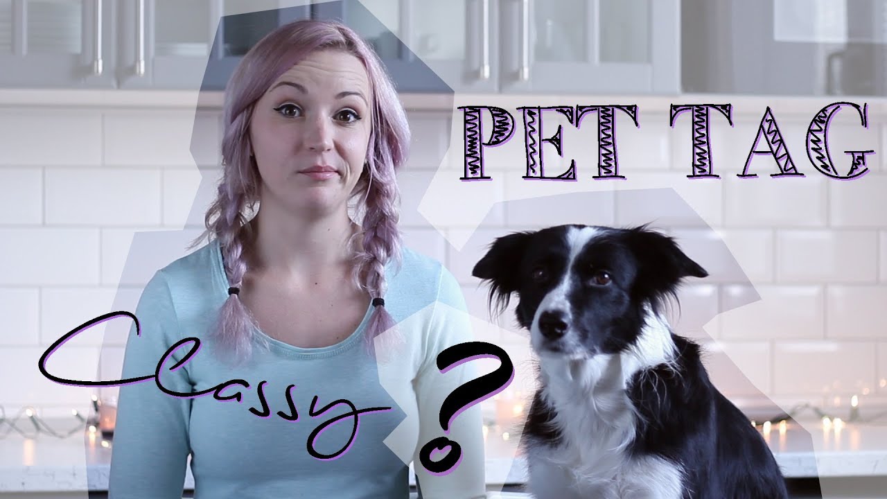 PET TAG w. CLASSY | Ako so psom