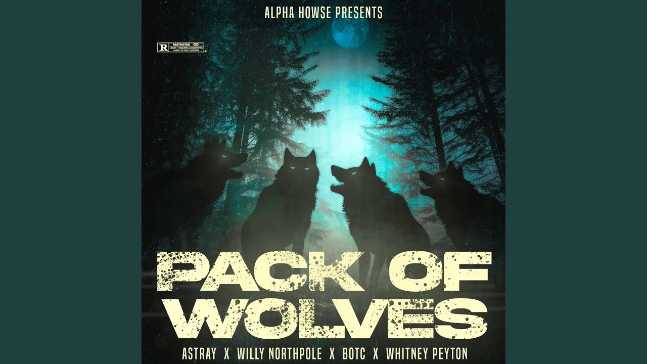 Pack Of Wolves (feat. Bag of Tricks Cat)