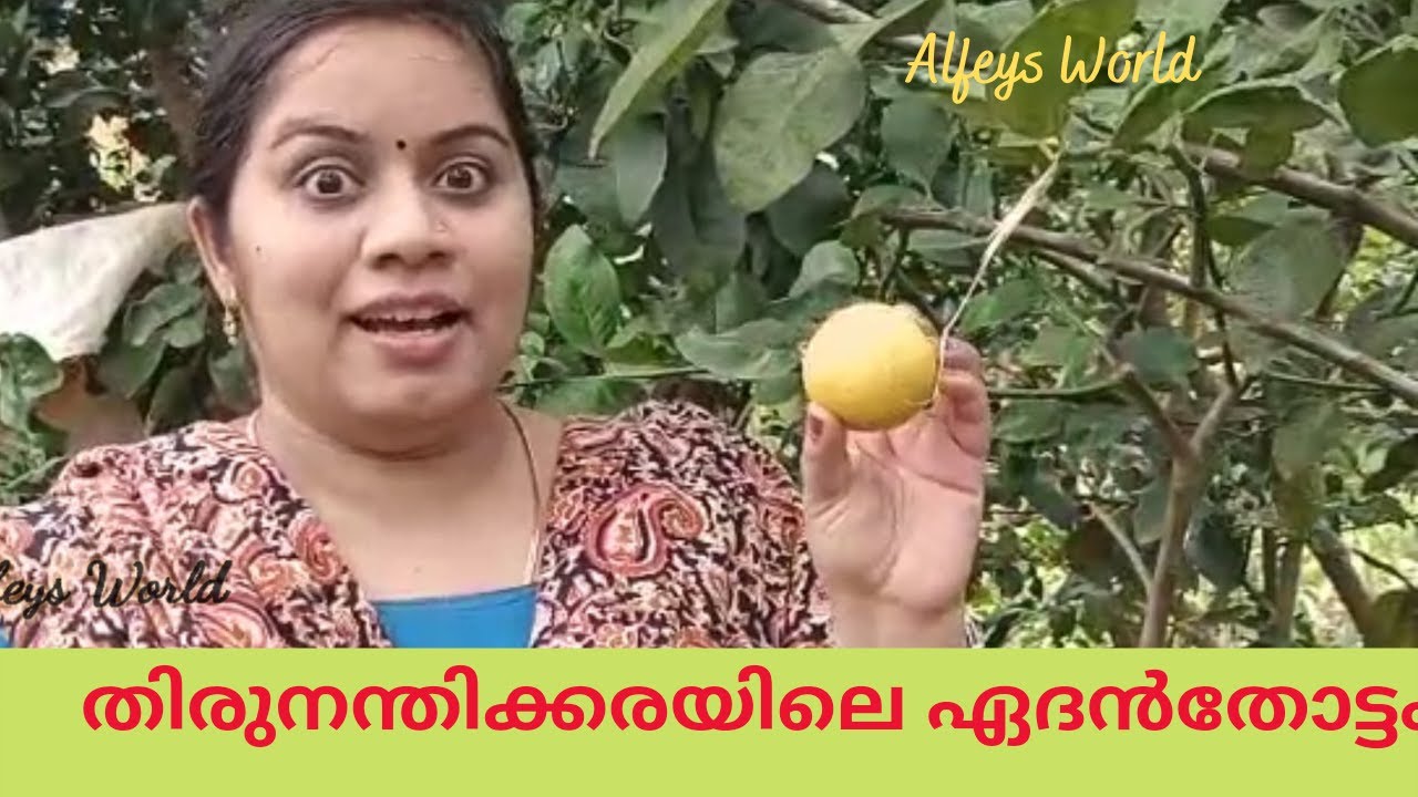 തിരുനന്തിക്കരയിലേ ഏദൻതോട്ടം | Kuzhipallam Botanical Garden | Thirunanthikara Fruits Garden