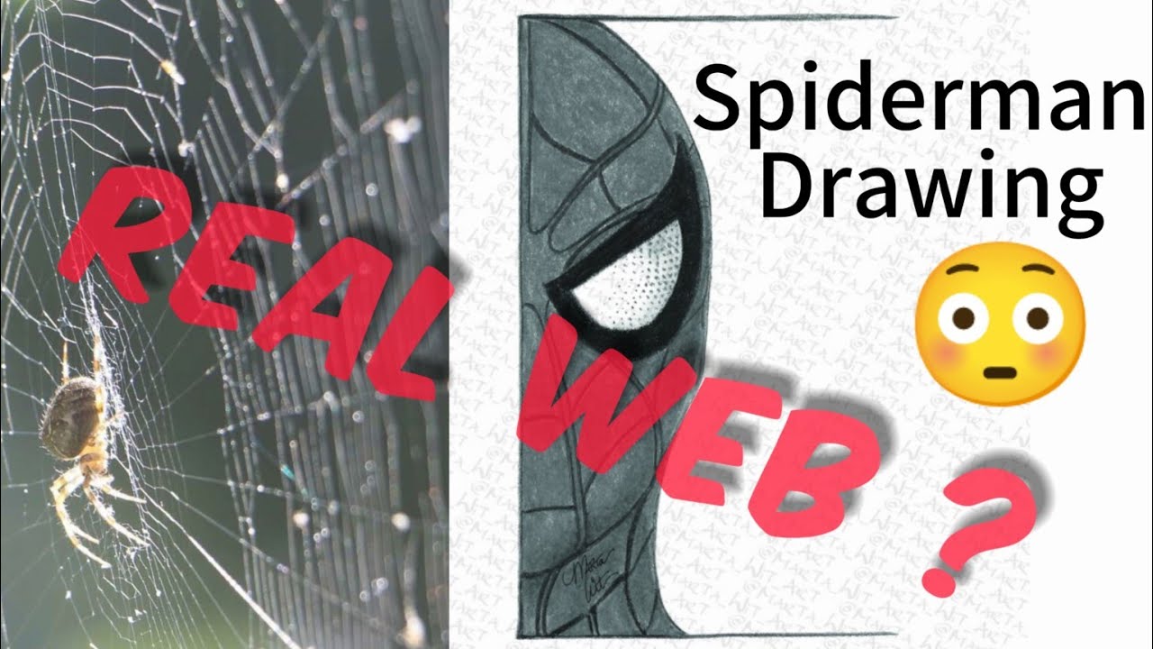 Drawing Spiderman With REAL SPIDER WEBS.😳😳| #viral #spiderman #drawing #fyp #marvel #cartoon 