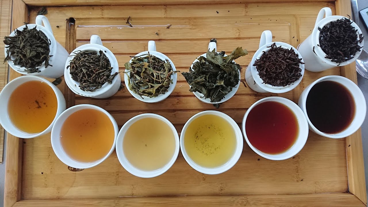 Todo Sobre el Té - Sesión 1 - Introducción al Mundo del Té #todosobreelte