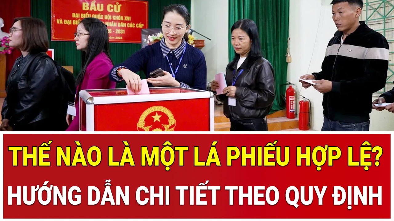 Thế nào là một lá phiếu hợp lệ? Hướng dẫn chi tiết theo quy định của pháp luật
