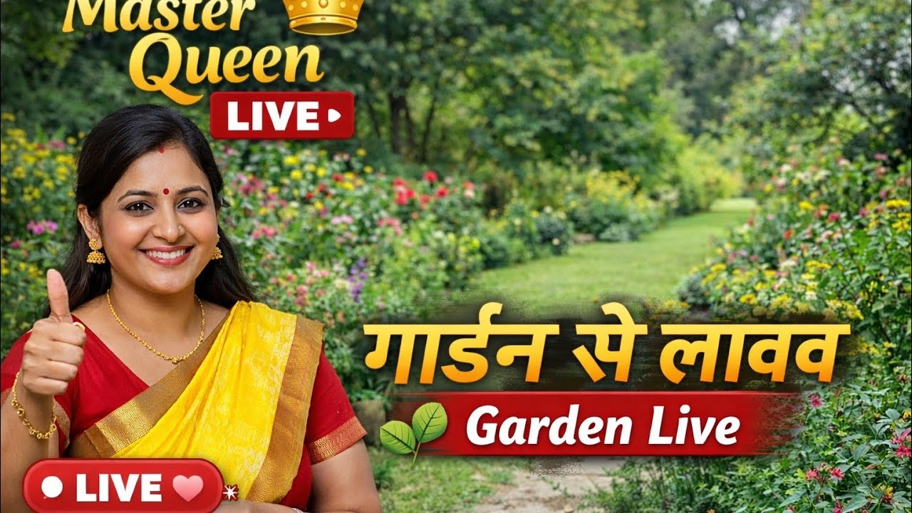 गार्डन का सेर।MasterQueen #LiveSession #GardenLive #EveningLive #DailyVlog 