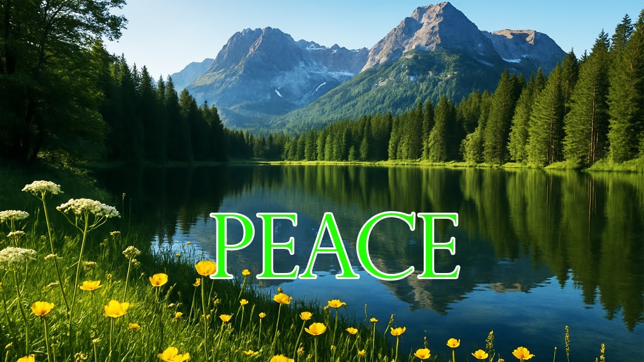 Healing Nature Piano | Healing Music for Inner Peace