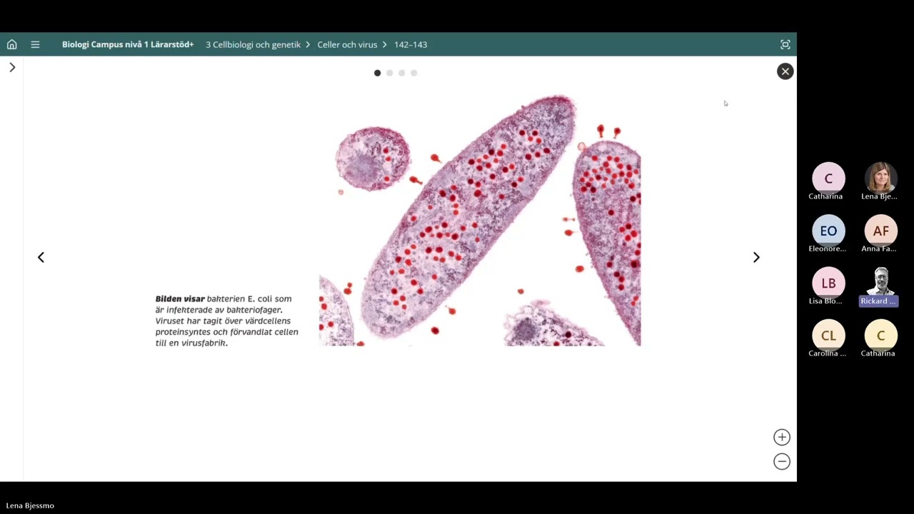 Webbinarium Upptäck Lärarstöd+ till Biologi Campus