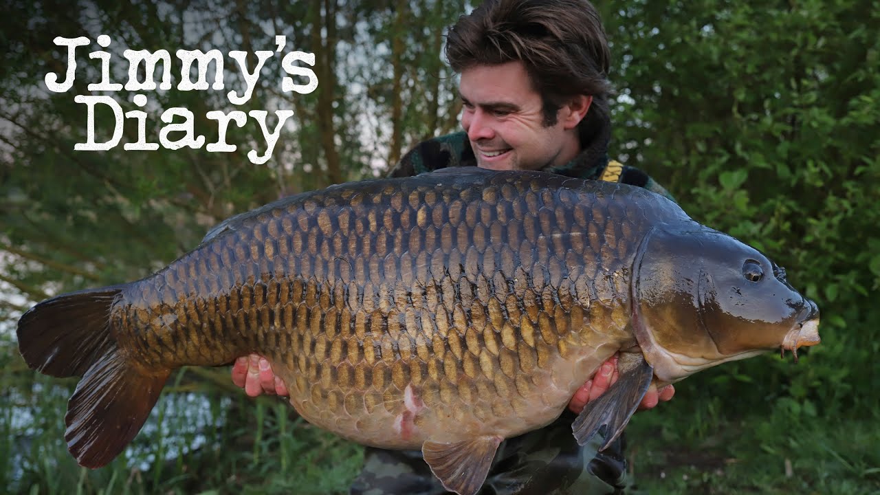 JIMMY ARMSTRONG CATCHES A 50LB COMMON!