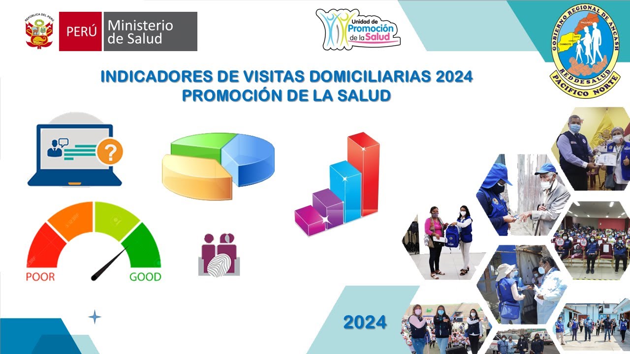 Indicador Visitas 2024 - PROMSA