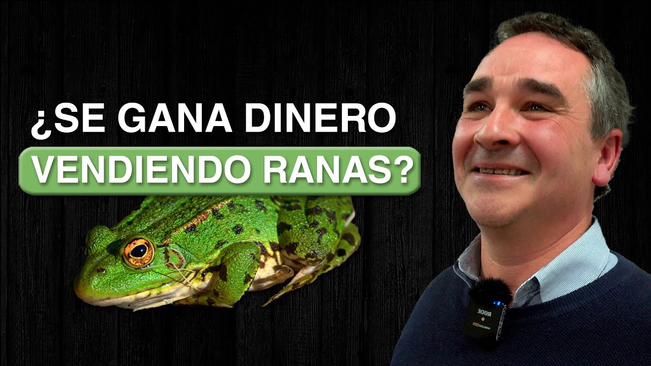 Criar y Vender Ranas: &iquest;C&oacute;mo Funciona este Negocio?