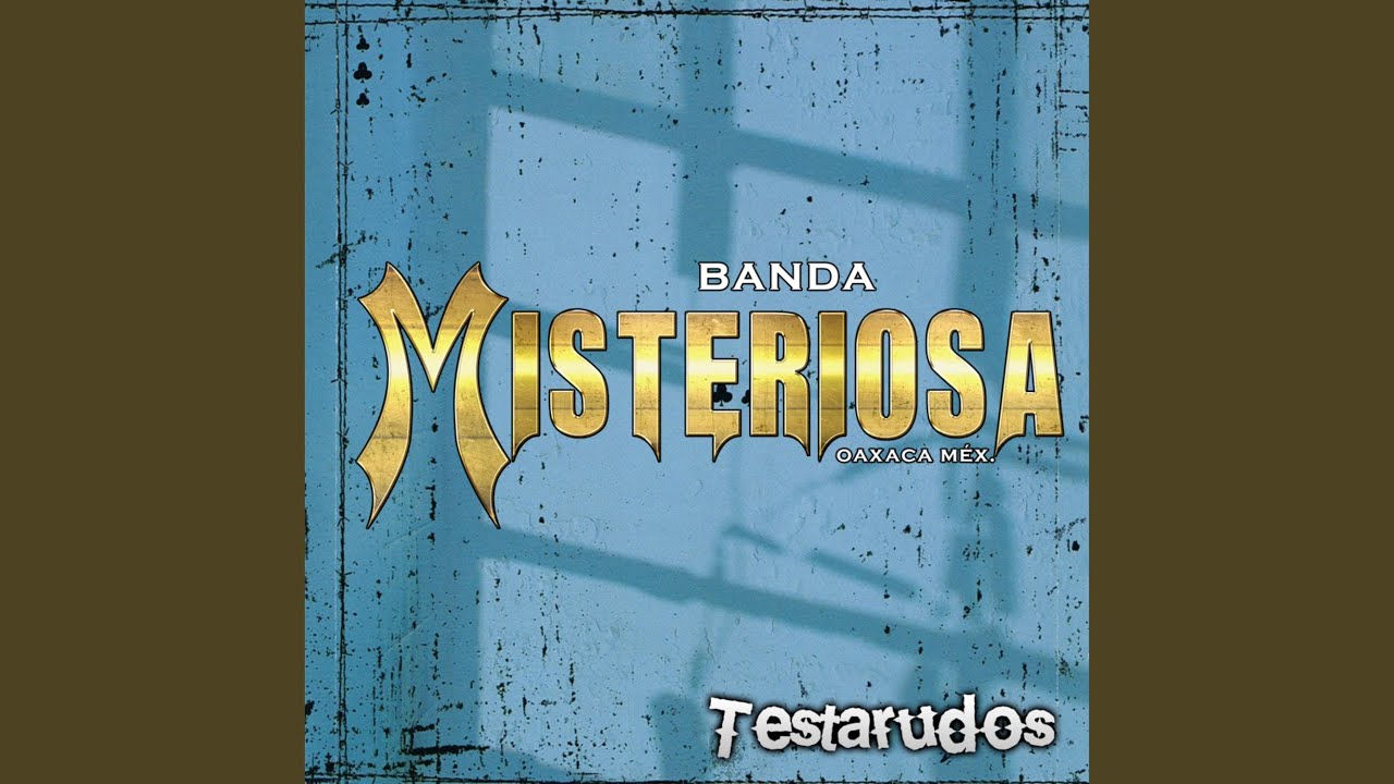 Testarudos